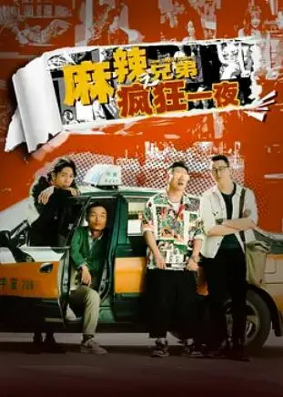 爆笑来袭！《麻辣兄弟之疯狂一夜》：笑到头掉的喜剧冒险，兄弟情深才是真！